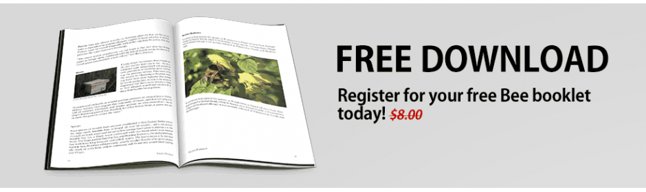 Free eBook