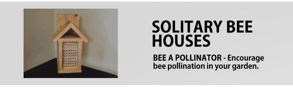 Solitary Bee House